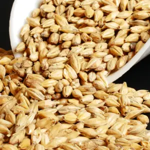 Malt Rye