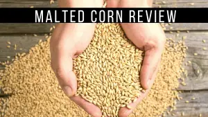 malted_corn_review